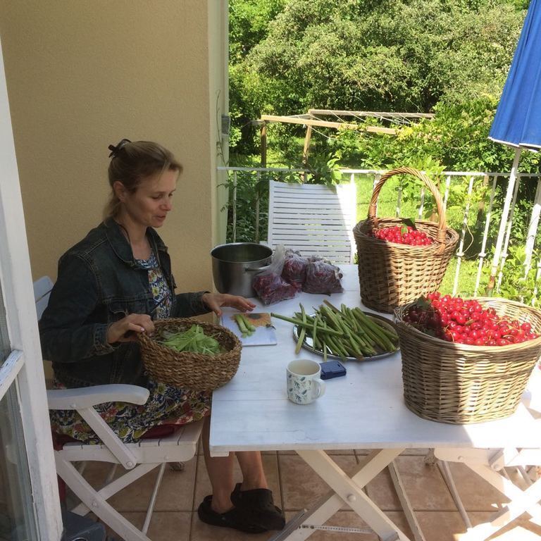 Cherries and Rhubarb