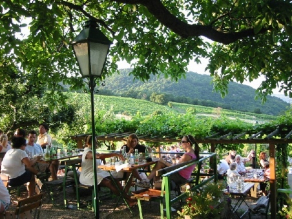 Heurigen - cosy places to drink the new wine - 10 min. from our home