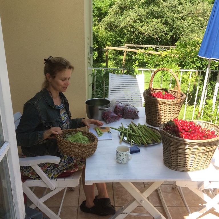Cherries and Rhubarb