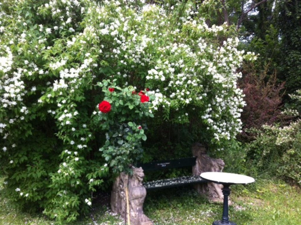 another place to hold still...