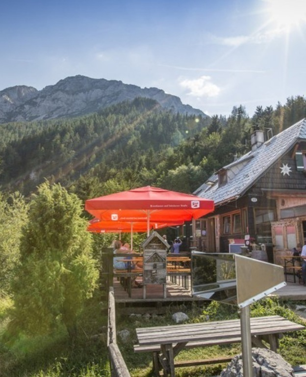 Vienna Alps ... Schneeberg