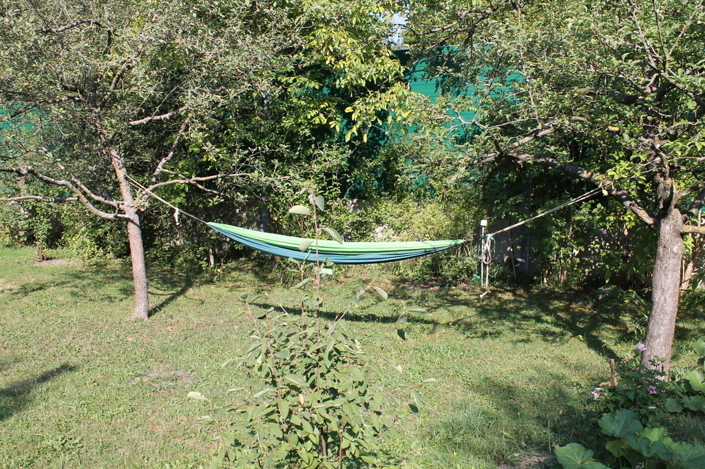 the hammock