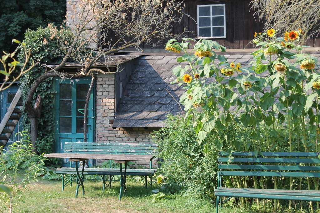 the former glass house - one of the ancestors was a gardener...