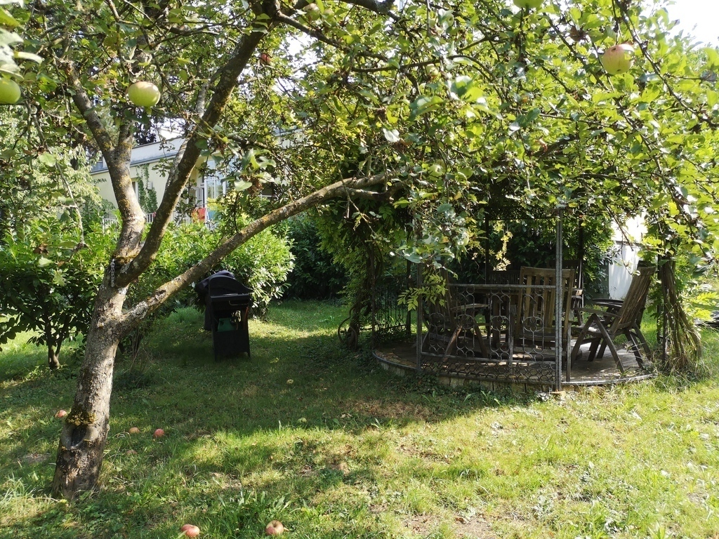 Gardentable in a Pavillion under a Glycine 
