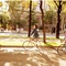 Biking in Vienna ... there are bikes to rent everywhere :-)