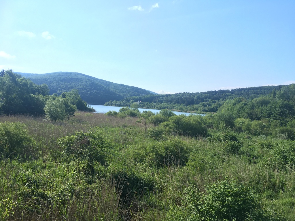 "Wienerwaldsee" (5 min by car; for walking, jogging, unfortunately not for swimming...)