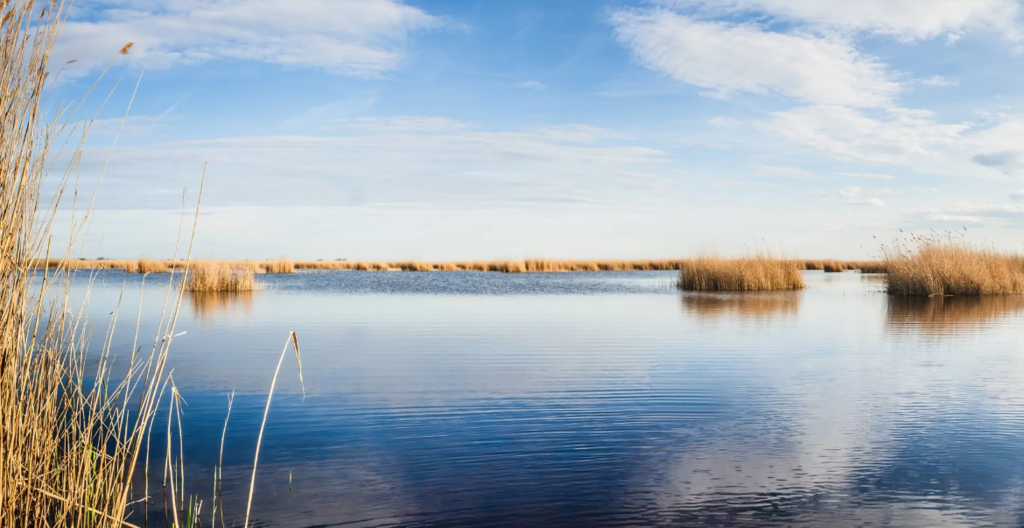 Neusiedlersee (1h by car)