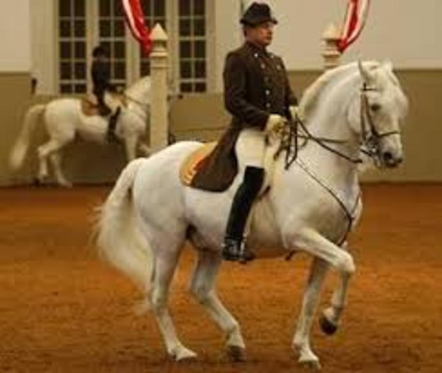 Spanish Riding School
