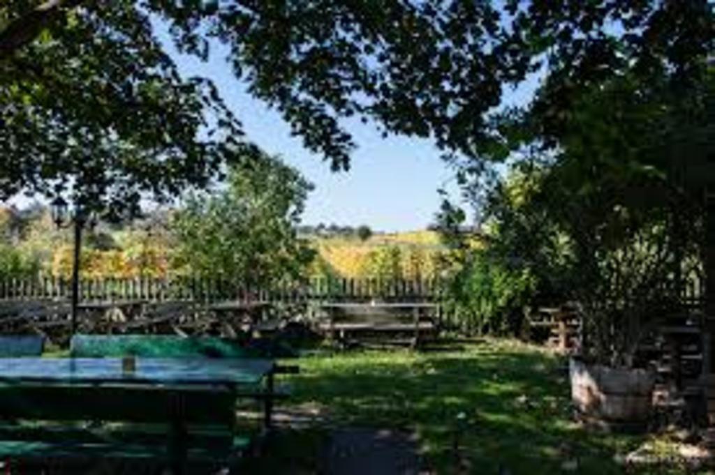 Beim Heurigen/ Traditional wine tavern/ guingette traditionnelle