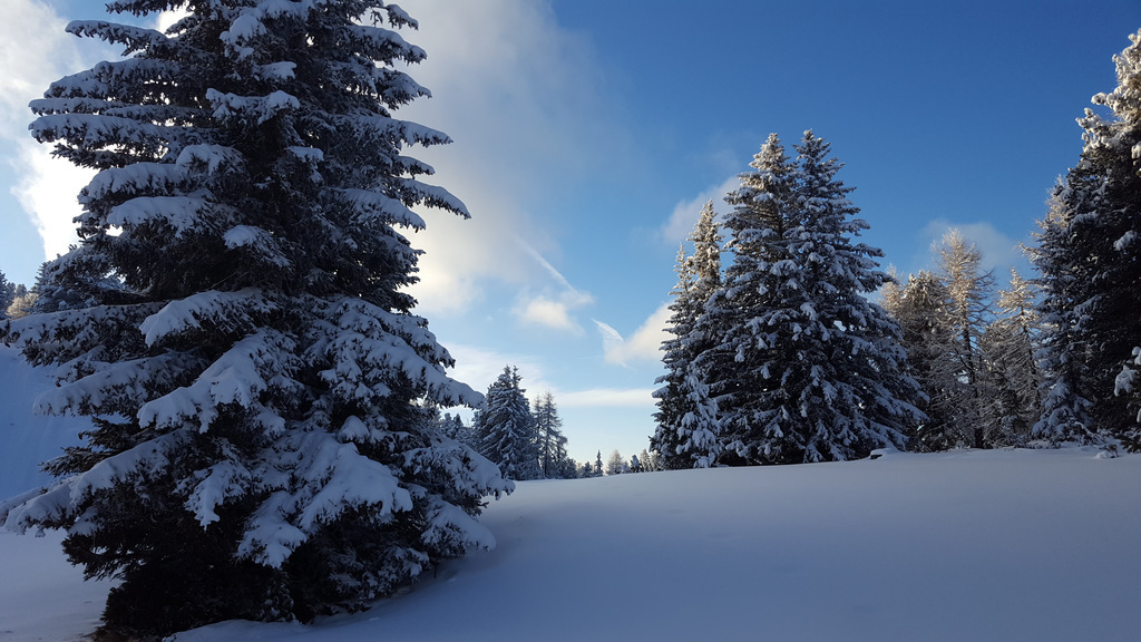 Off-track on Kreischberg