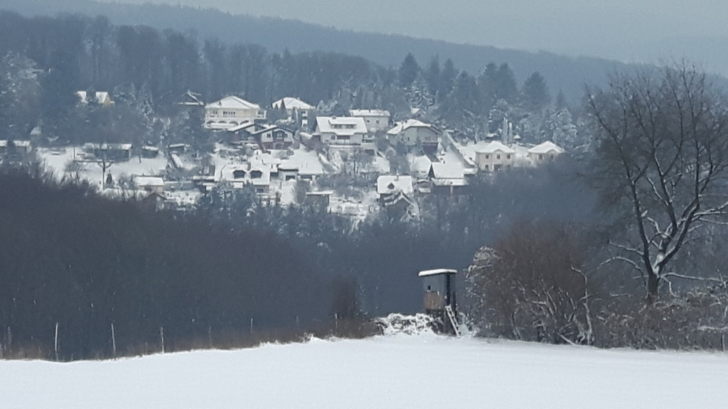 View to our house: Our house is located at the edge of the Wienerwal 