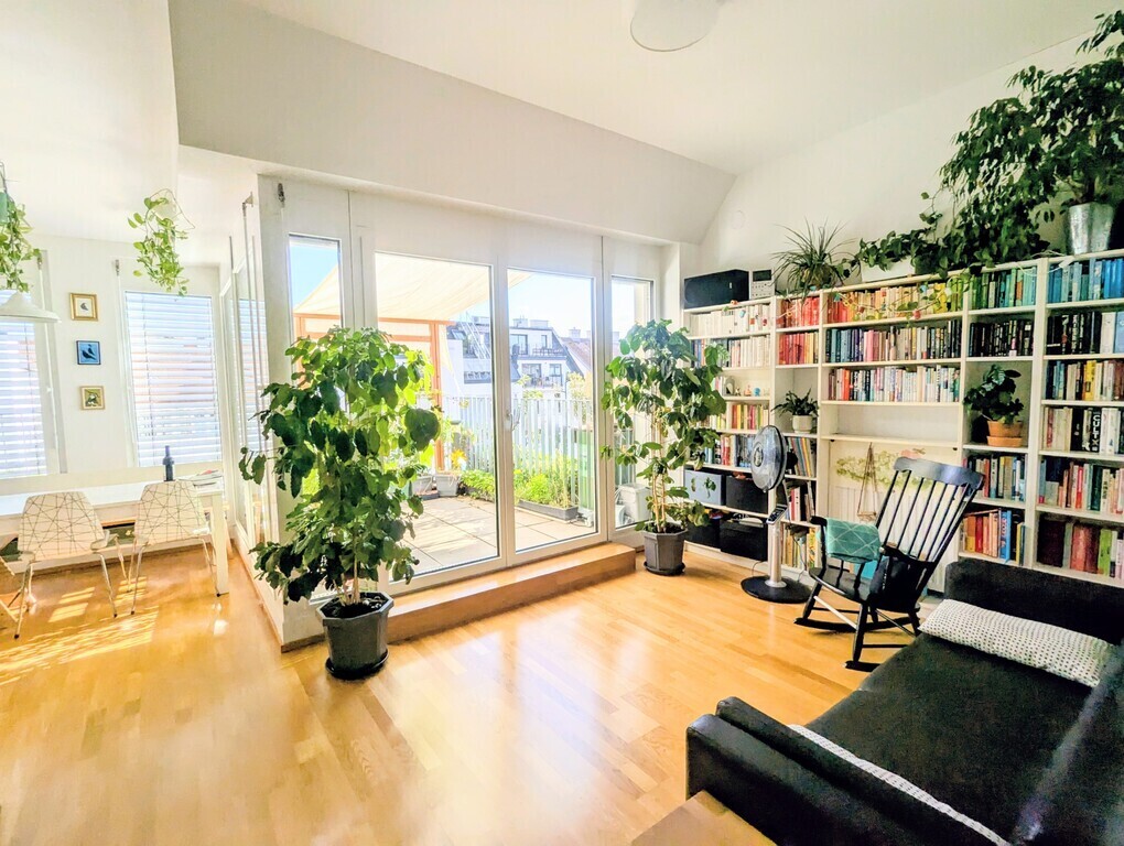 living room with sun sail over the terrace 