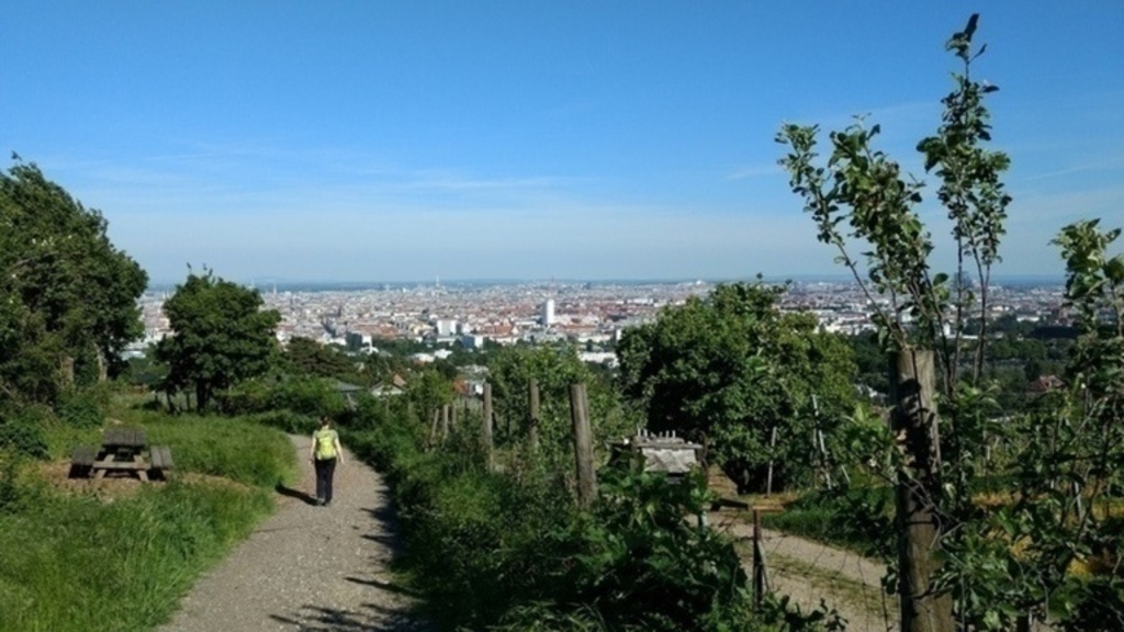 View from the Wilhelminenberg (one of many possible short hikes in the area)