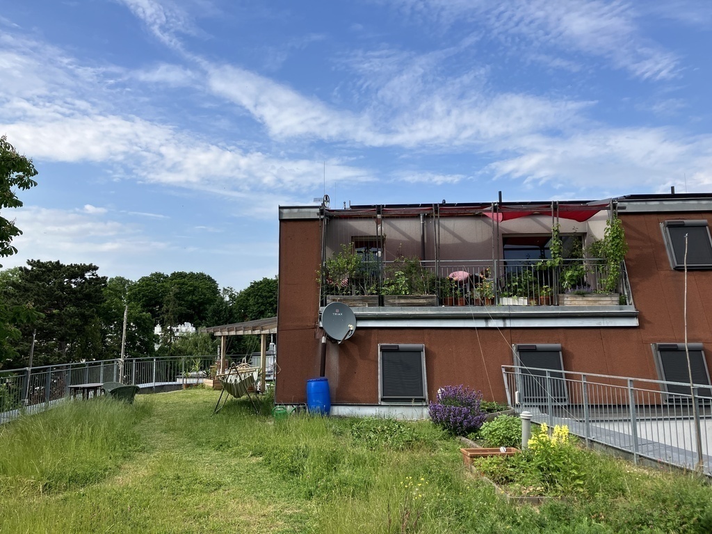 Our terrace in summer