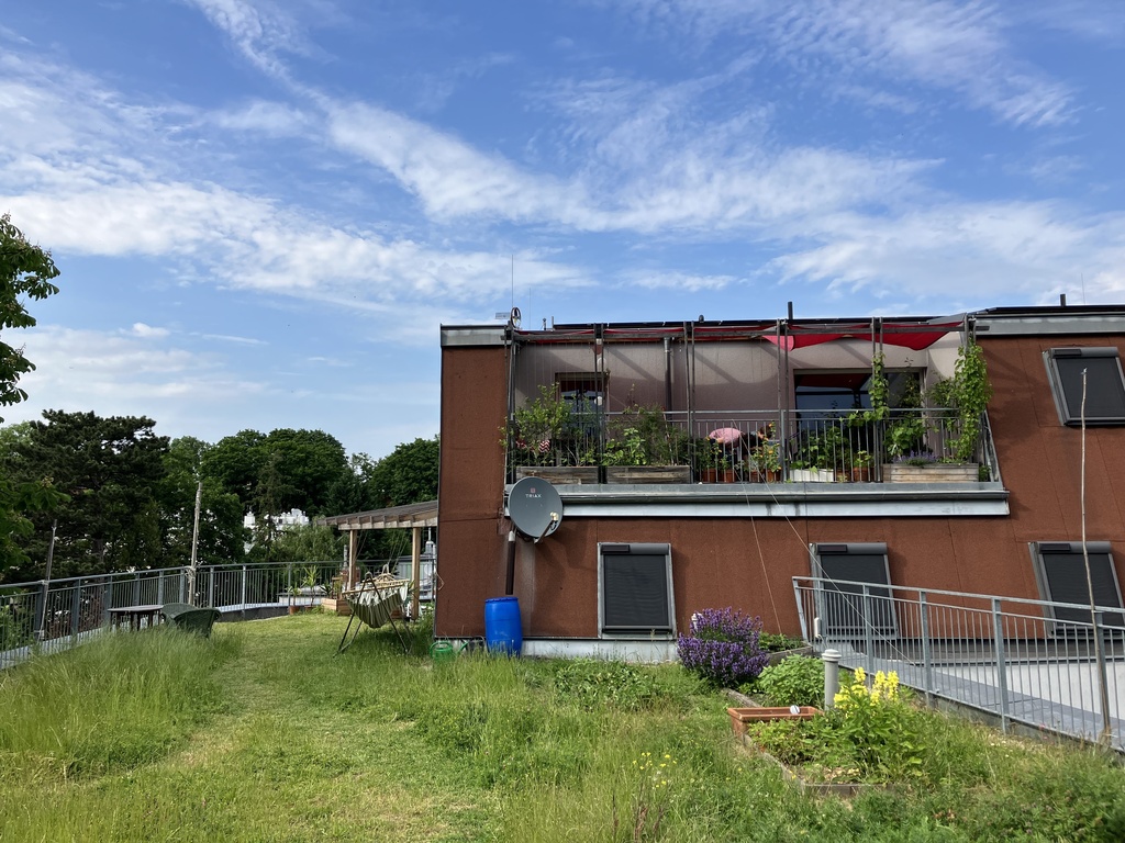 Our terrace in summer