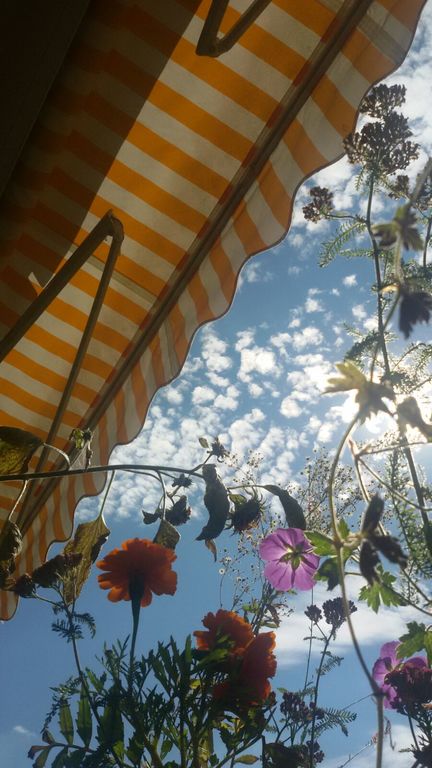 Ob Sonne oder Schatten...beides ist möglich - What you need: sun or shade ... both are possible