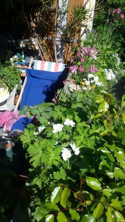 Liegestuhl am Balkon - Deck chair on the balcony