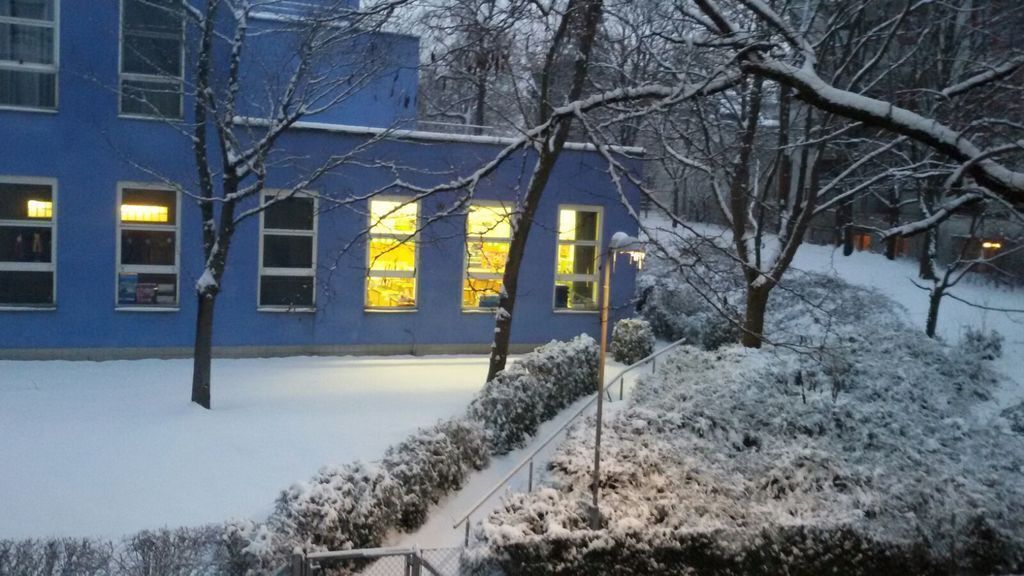 Nachtwinterblick aus der Küche - Night winter view from the kitchen