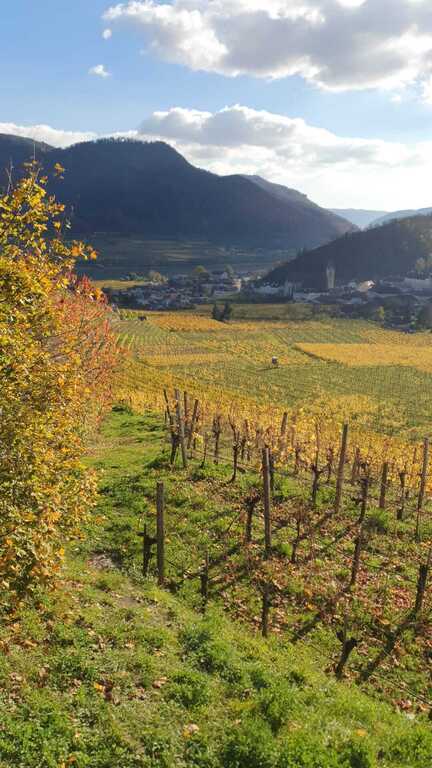 Herbstwanderung in der Wachau (2Stunden mit der Bahn von Wien entfernt) - Autumn hike in the Wachau(2hours by train from Vienna