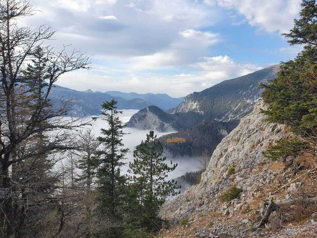 Wandern in den Alpen - Hiking in the Alps  (ca. 2h by train far away from Vienna)