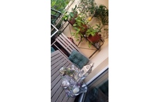 Blick auf den Eßbereich am Balkon