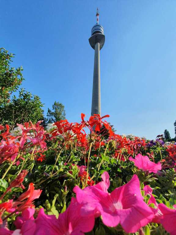 Donauturm im Donaupark - Danube Tower in Donaupark