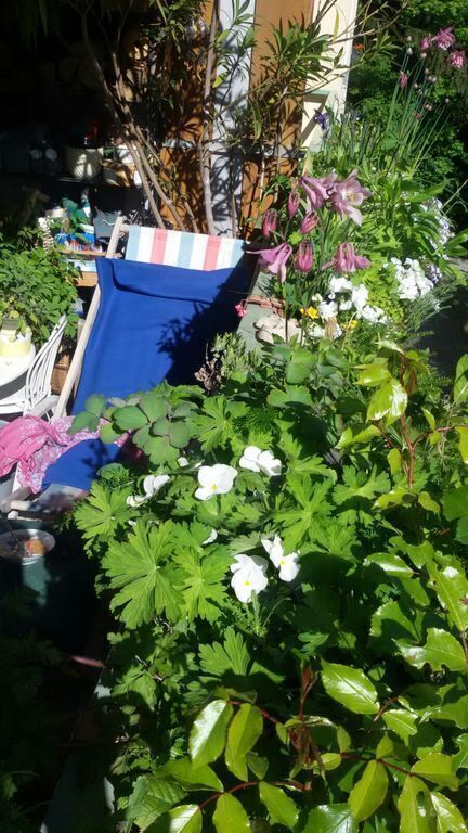 Liegestuhl am Balkon - Deck chair on the balcony