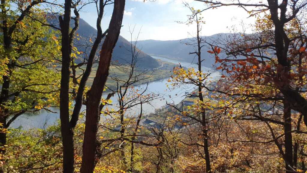 Herbstwanderung in der Wachau (2Stunden mit der Bahn von Wien entfernt) - Autumn hike in the Wachau(2hours by train from Vienna