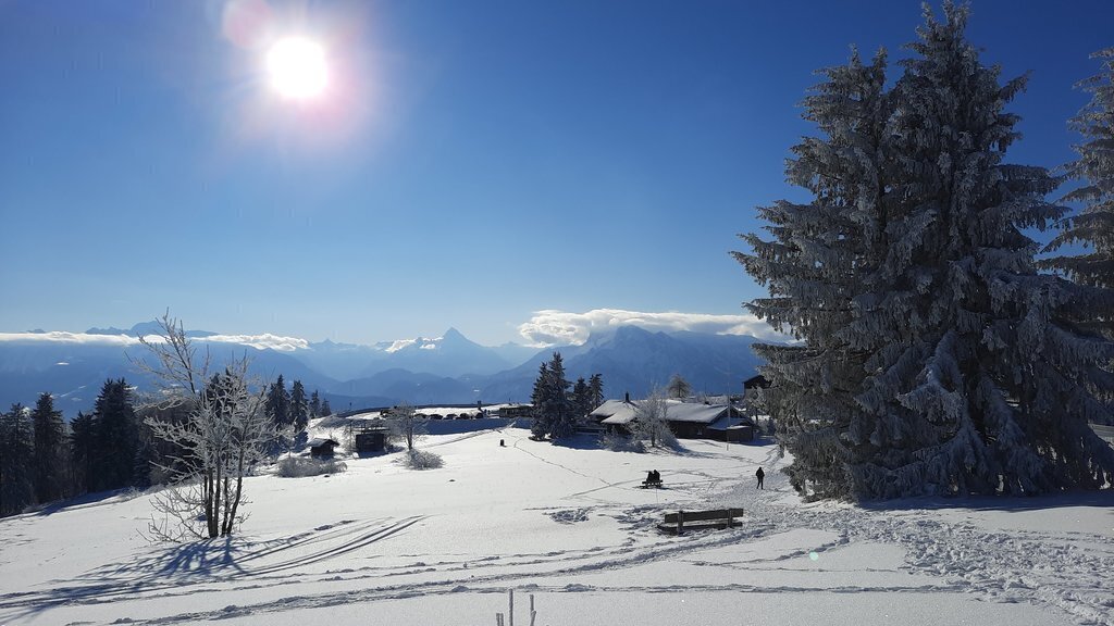 Gaisberg in winter
