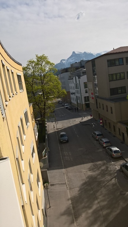 view from livingroom to Haydn Street