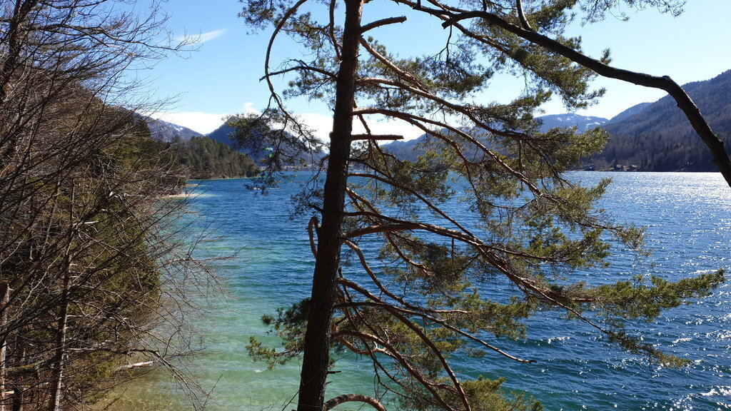 Lake Fuschl in autumn