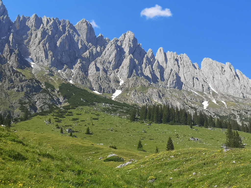 Hochkoenig