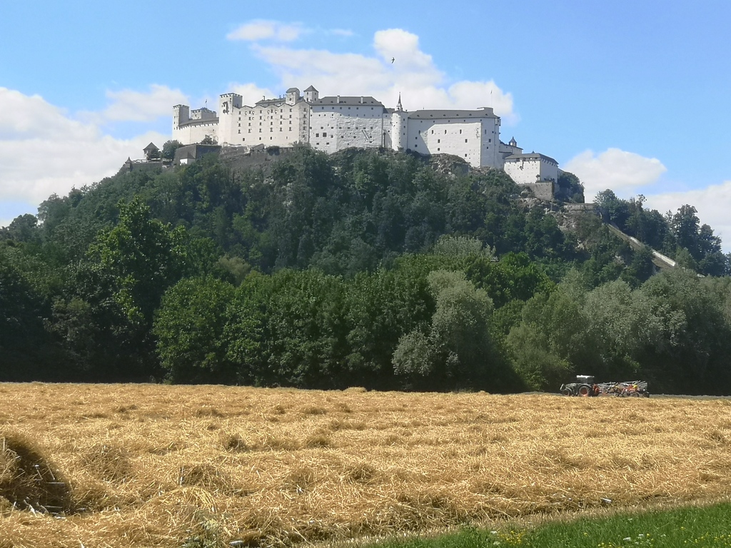 fortress