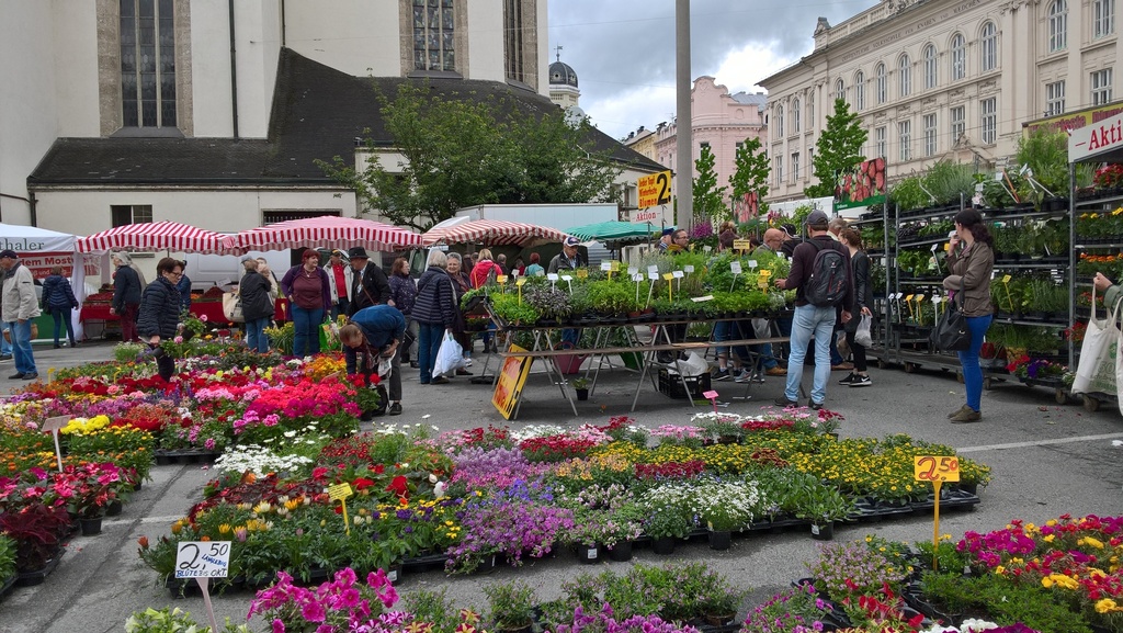 weekly market nearby