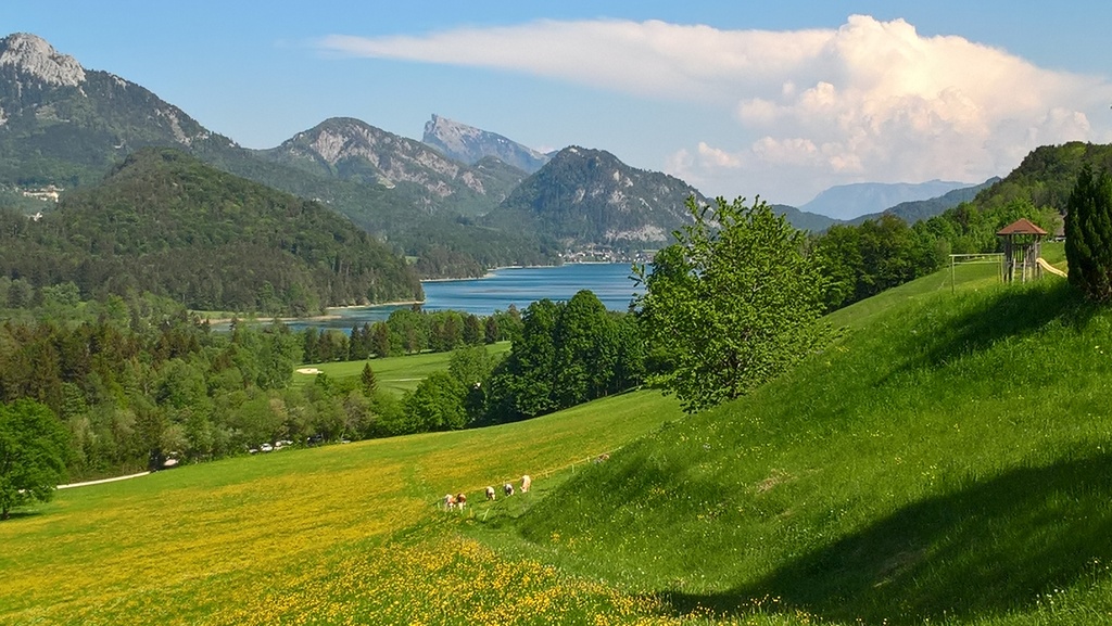 Lake Fuschl in summer