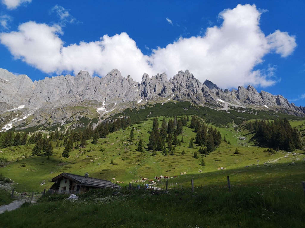 Hochkoenig
