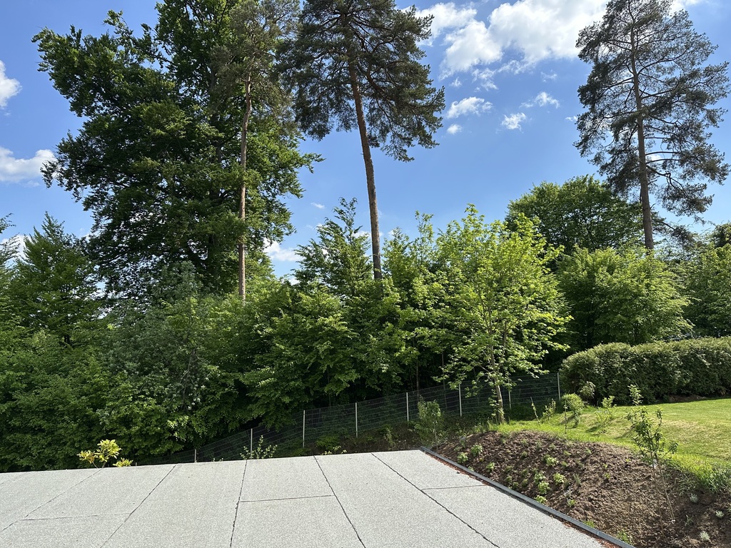 view from boys room 1