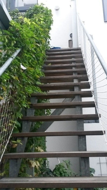 stairways to our garden