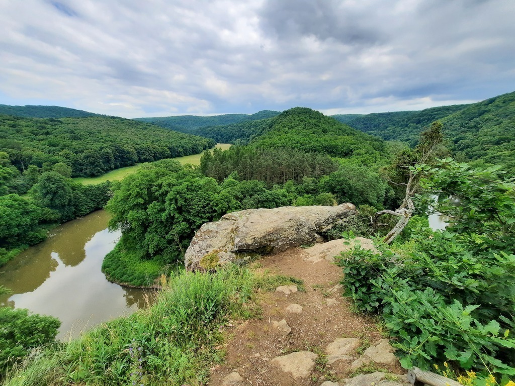 Nationalpark Thayatal (Czech border)