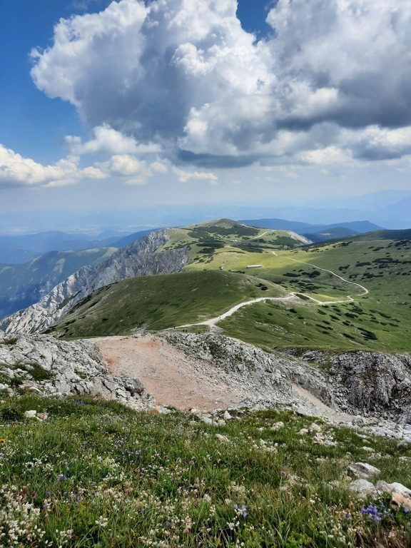 On top of Schneeberg (about one hour away)