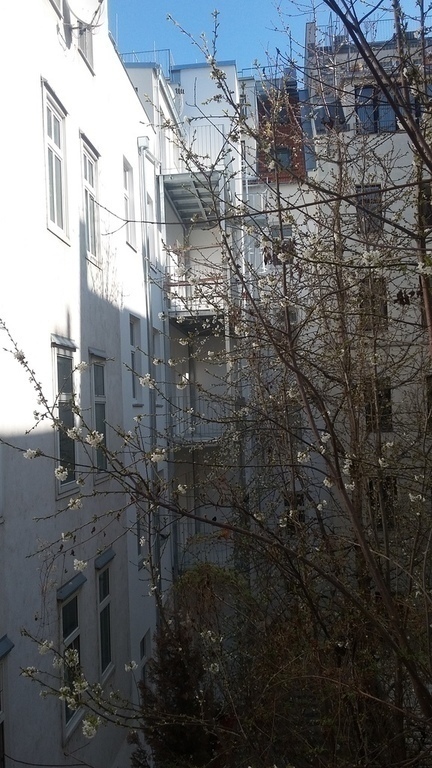 The inner yard (bedroom window)