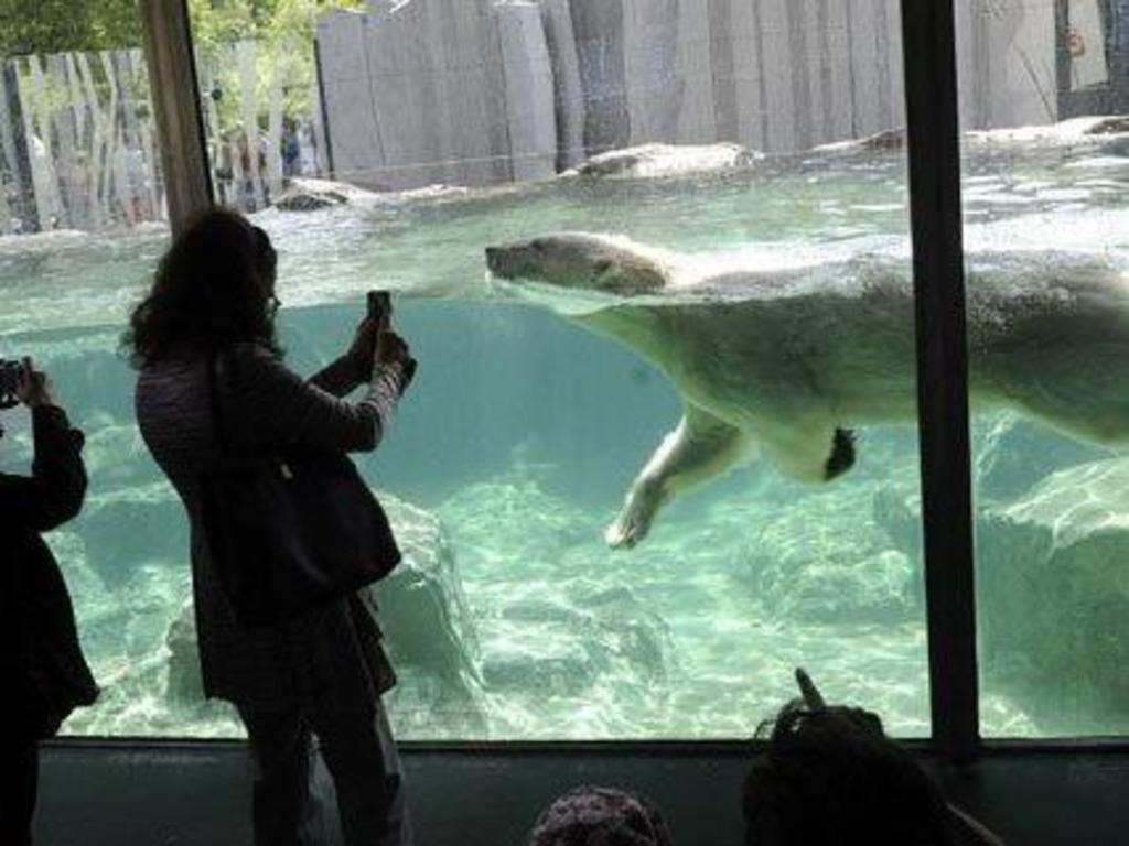 Schönbrunn Tiergarten, the oldest zoo in the world