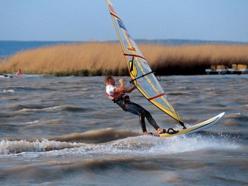 Lake Neusiedl, 75 minutes drive from our apartment