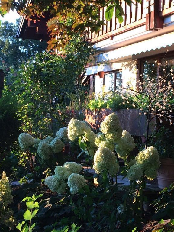 Lots of flowers in our garden