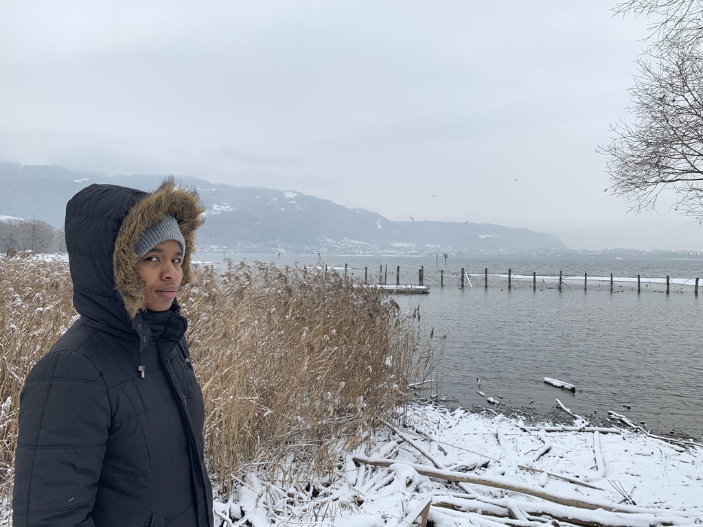 Bodensee in winter