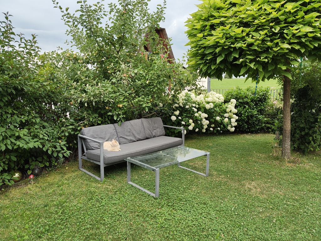 chilling in the garden under the apple tree