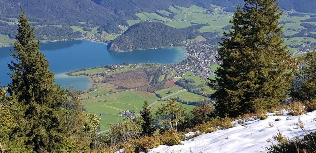 View to the Fuschlsee