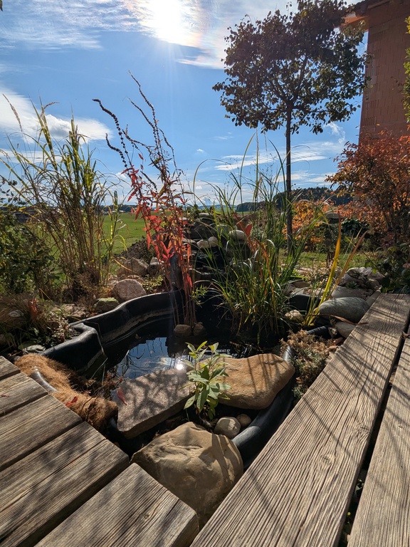 small pond next to the terrace