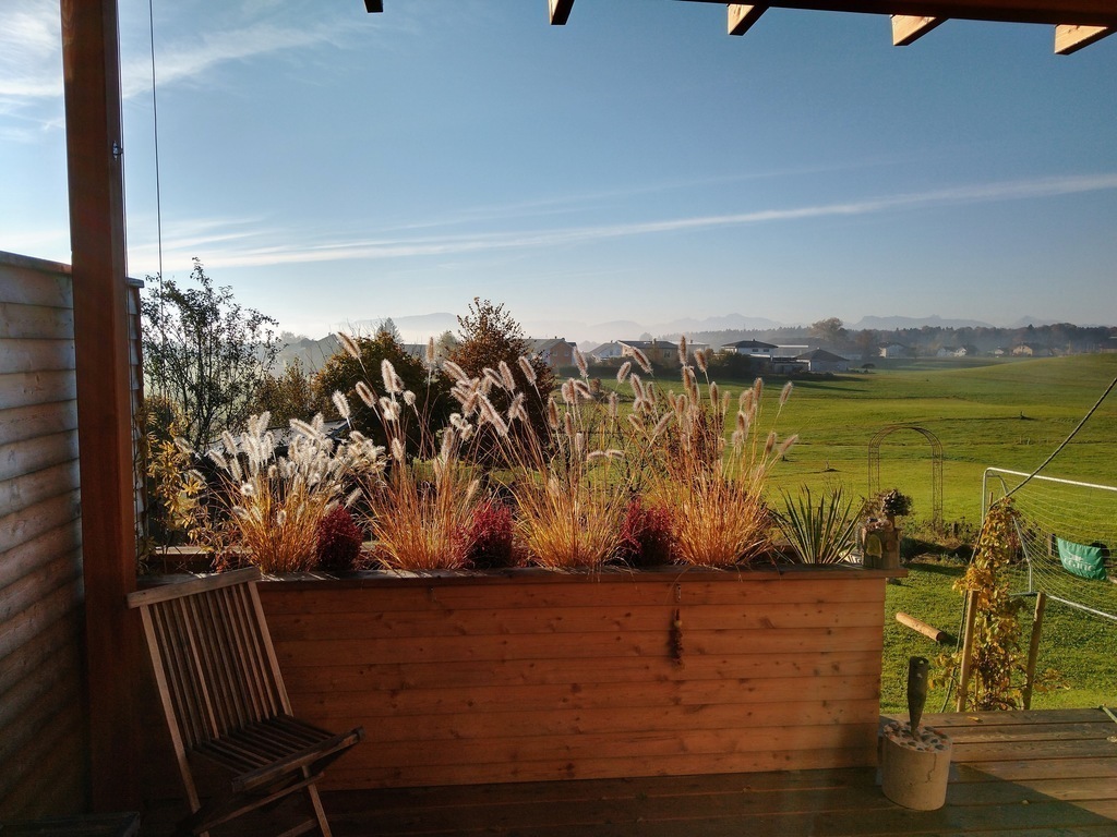 view from terrace (autumn)