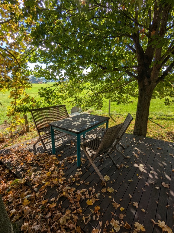 small terrace under big trees in the garden